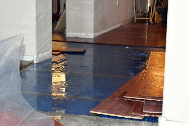 Professional Burst Pipe Cleanup technician working in Davis, OK